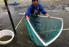 水產養殖光面土工膜