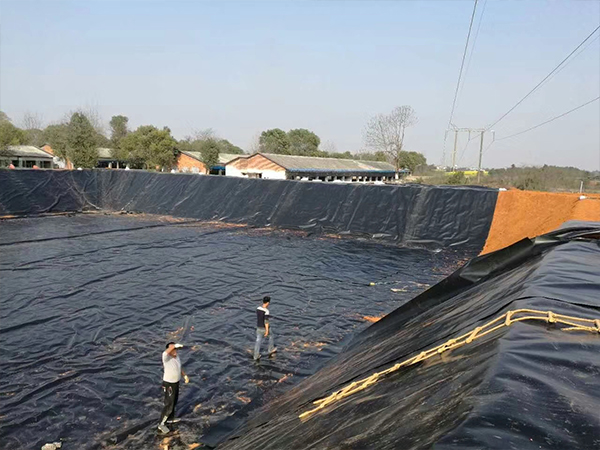 江西養豬基地建設選擇佳路通養殖防滲膜